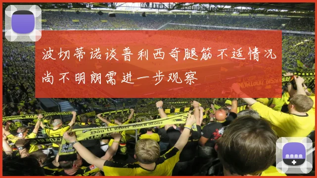 波切蒂诺谈普利西奇腿筋不适情况尚不明朗需进一步观察